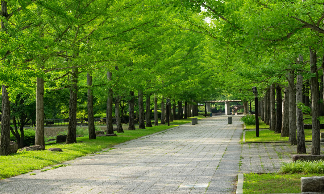 山形県総合運動公園
